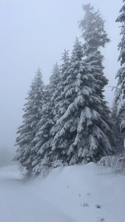 Foto von Józef Kulpa entlang der Tour