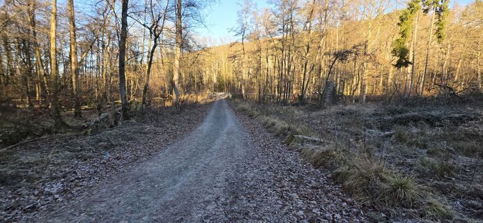Photo de Michael Ganswind le long du parcours