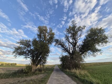 Photo de Markus Hummelbrunner le long du parcours