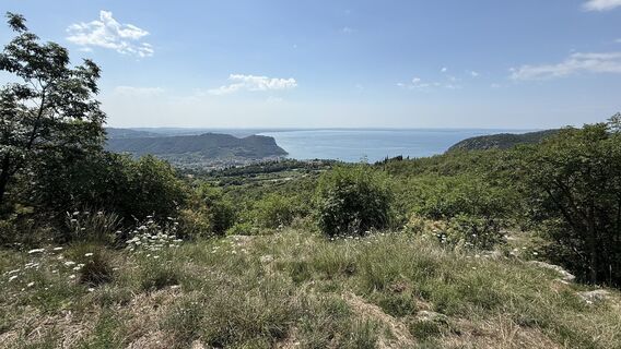 Fotografija s spletne strani Danny Ehlert na poti
