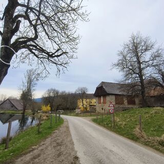 Fotografia z Sonja Enzenhofer na trase