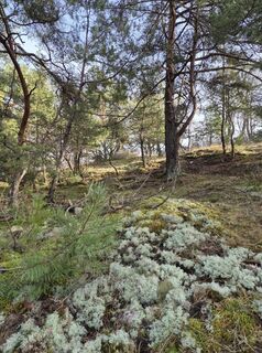 Foto von KELO entlang der Tour