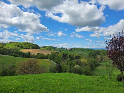 Fotó a Juliane Jarke honlapról a túra során