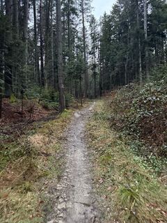 Fotografie de la Rfelbing de-a lungul turului