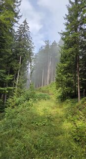 Fotografie z János Zsolt Mahr na trase