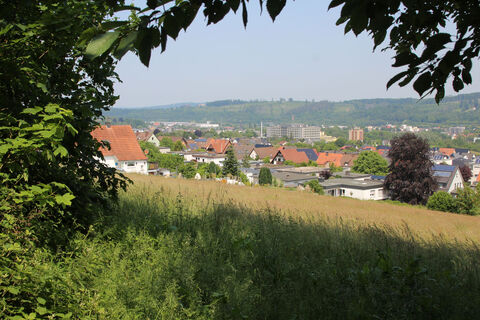 Blick vom Spreiberg-2.jpg