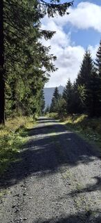 Fotografija s spletne strani Jörg Rost na poti