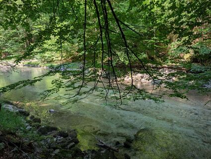 Foto von Basiswissen Leben entlang der Tour