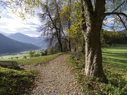 starkenberger_panoramaweg_etappe_4 (1).jpg