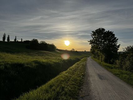 Fotografie z Schaali na trase