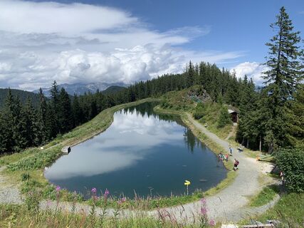 Foto von Koen De Wit entlang der Tour