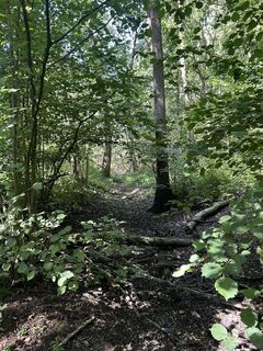 Foto von Wenko entlang der Tour