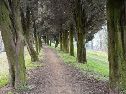 Fotografija s spletne strani “Jerry” Brunetti na poti