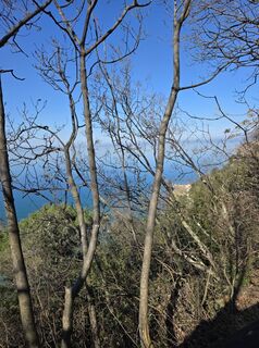 Fotografie z Simon Lamot69 na trase