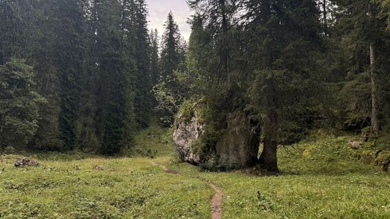 Photo de Henrik Singelmann le long du parcours