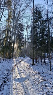 Fotografia z Roger Wilco na trase