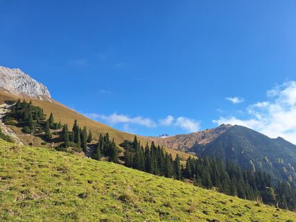 Foto da Andi68 lungo il tour