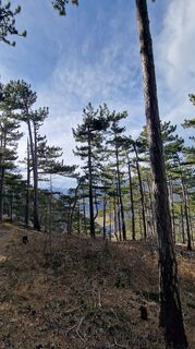 Foto fra Michael D underveis på turen