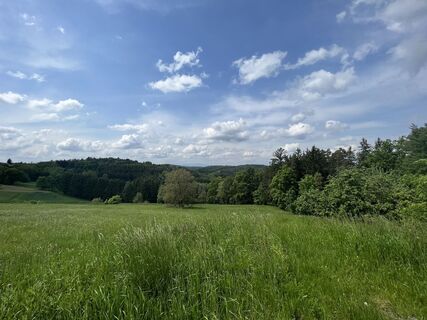 Foto von Hans-Peter Tripp entlang der Tour