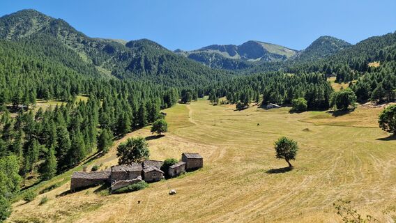 Foto von Fabrizi Mellano entlang der Tour