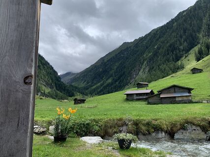Foto von Koen De Wit entlang der Tour