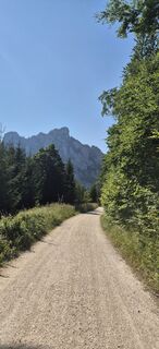 Fotografija s spletne strani Hari Schrittwieser na poti