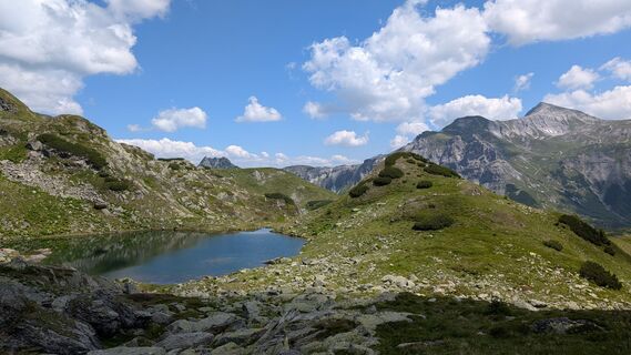 Foto von Pfefferam entlang der Tour
