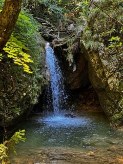 Teichalm-Guter Hirte-Bärenschützklamm-retour
