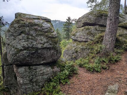 Photo from Jeannette Mo along the tour