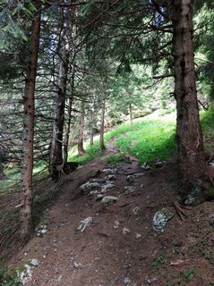 Rundwanderung Schaidasattel - Hochobir