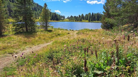 Fotografie z Anna Wilding na trase