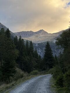 Fotografija s spletne strani Cecilia Blake na poti