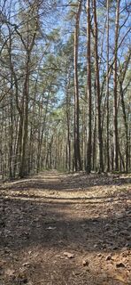 Photo de kludek le long du parcours