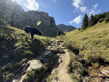 Foto von Philipp Eder entlang der Tour