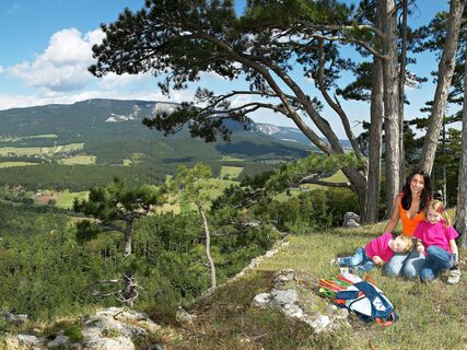 Burgruine Schrattenbach