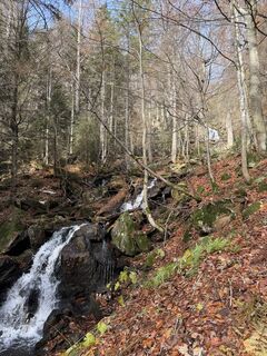 Fotó a Nikolaus Ludwig 1 honlapról a túra során