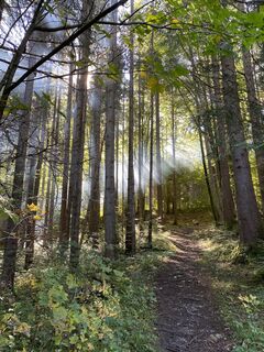Photo de Alex_777de le long du parcours