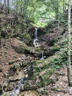 Photo de Lorenzo Martinelli le long du parcours
