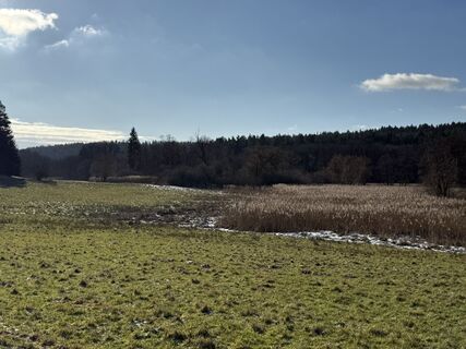 Foto de Norbert Herbig a lo largo del recorrido