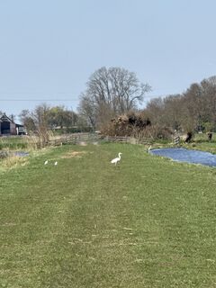 Foto von Babita entlang der Tour