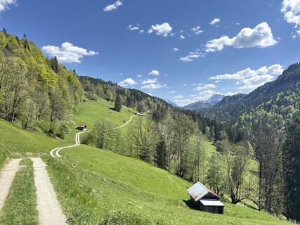 Zdjęcie z Similaun wzdłuż trasy