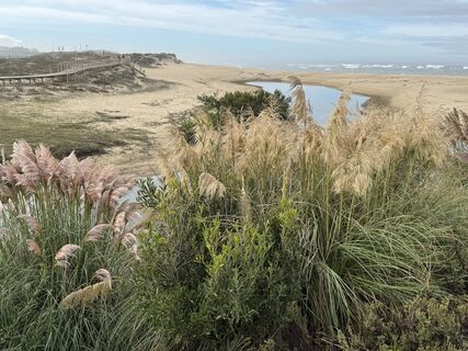 Foto von Heike Hadamus entlang der Tour