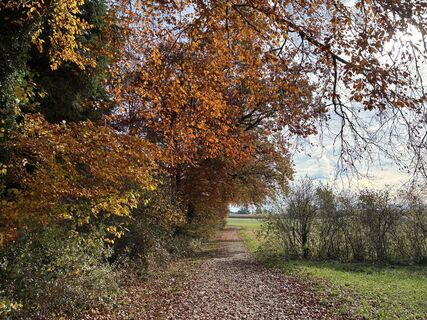 Foto von Pascal Oliver Hauser entlang der Tour