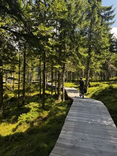 Foto de wilma a lo largo del recorrido