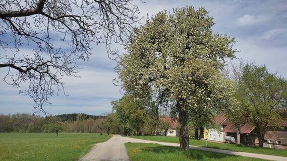 Foto von WilliSt entlang der Tour