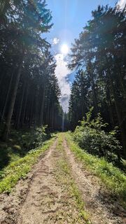 Foto von Klaus Lehner entlang der Tour