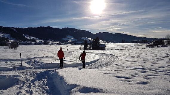 Sonnige Langlaufloipe Alberschwende