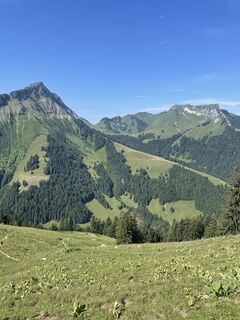 Fotografija s spletne strani Martin Reinhard na poti
