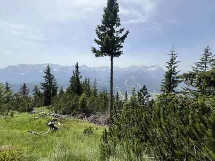Foto von Melle Koletzki entlang der Tour