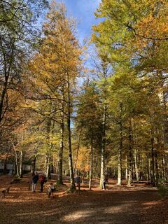 Fotografia z Koen De Wit na trase